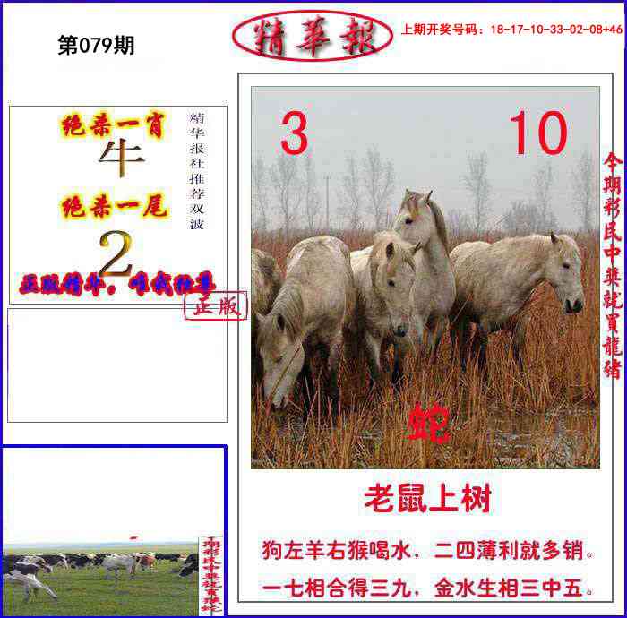 079期新精华报报[图]